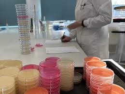 Food Microbiology Laboratory
